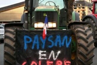 Diviser pour mieux régner