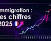 Immigration en France : de nouveaux records ont été battus en 2025