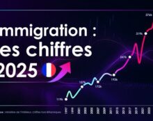 Immigration en France : de nouveaux records ont été battus en 2025