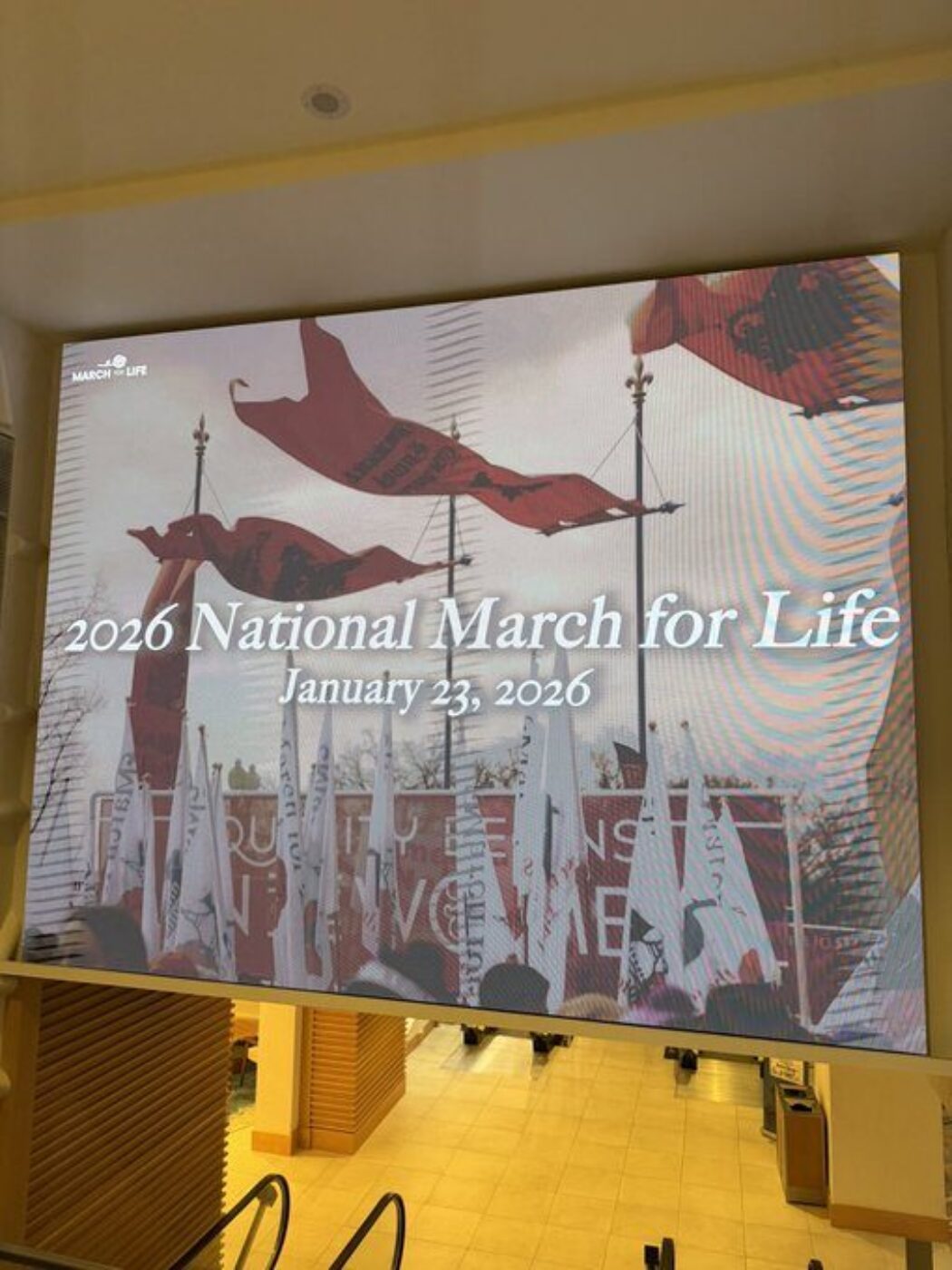 Le pape Léon XIV a envoyé un message d’encouragement à la Marche pour la Vie aux Etats-Unis