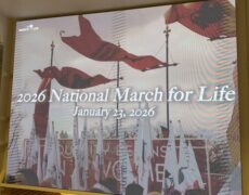 Le pape Léon XIV a envoyé un message d’encouragement à la Marche pour la Vie aux Etats-Unis