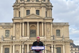 Culture de mort : le gouvernement persiste et signe