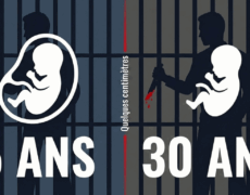 IVG, avortement et statut du fœtus : pourquoi le droit français est-il si contradictoire ?