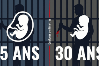 IVG, avortement et statut du fœtus : pourquoi le droit français est-il si contradictoire ?