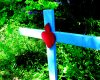 La vie chrétienne victorieuse – L’Amour pour le Seigneur