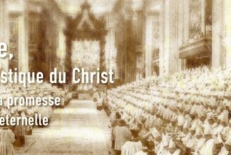 Carême avec les missionnaires de la Miséricorde Divine : “l’Église, corps mystique du Christ, Elle a les paroles de la vie éternelle”