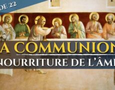 La communion, nourriture de l’âme