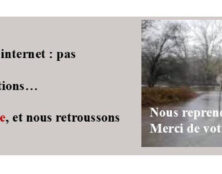 La tempête perturbe l’activité de Livres en famille