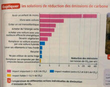 Propagande anti-nataliste en Terminale