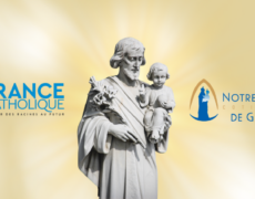 Une grande neuvaine à saint Joseph pour confier la vie et les familles