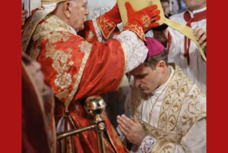 Conférence le 8 avril : « Est-il contraire au droit divin de sacrer un évêque contre la volonté du pape ? »