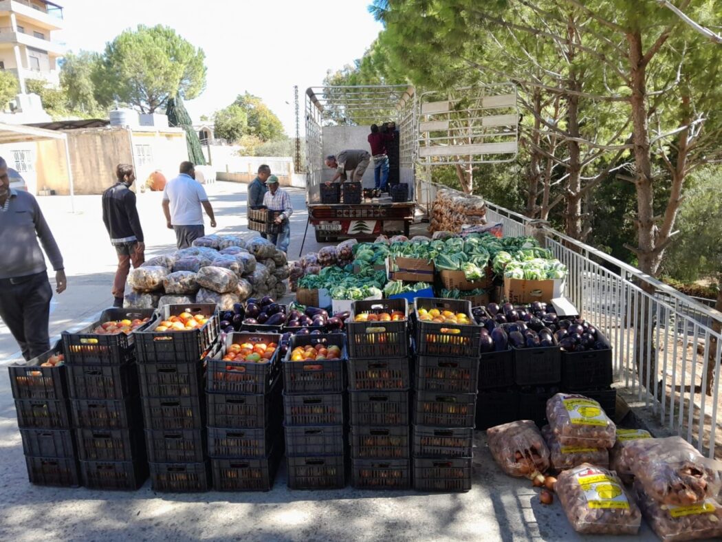 Les chrétiens du sud Liban ravitaillés grâce à Chrétienté Solidarité