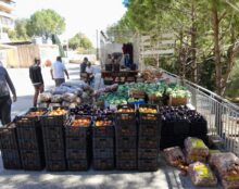 Les chrétiens du sud Liban ravitaillés grâce à Chrétienté Solidarité