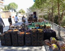 Les chrétiens du sud Liban ravitaillés grâce à Chrétienté Solidarité