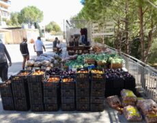 Les chrétiens du sud Liban ravitaillés grâce à Chrétienté Solidarité