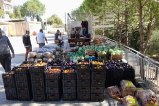 Les chrétiens du sud Liban ravitaillés grâce à Chrétienté Solidarité