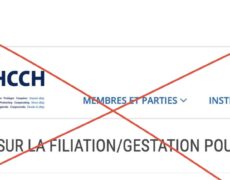 Victoire : la Conférence de la Haye abandonne son projet de convention internationale relative à la GPA transfrontière