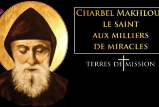 Charbel Makhlouf, le saint aux milliers de miracles