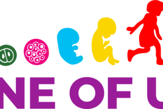 Un évènement au Parlement européen appelle à la protection de la vie humaine