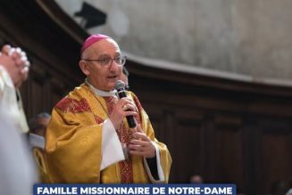 Un évêque peut-il empêcher des jeunes de donner leur vie à Dieu et en détruire d’autres dans leur vie religieuse ? [Addendum : réaction de Mgr Giraud]