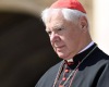 Le vrai enjeu des sacres selon le cardinal Müller, par l’abbé Gleize de la FSSPX