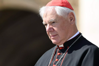 Le vrai enjeu des sacres selon le cardinal Müller, par l’abbé Gleize de la FSSPX