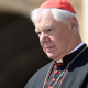 Le vrai enjeu des sacres selon le cardinal Müller, par l’abbé Gleize de la FSSPX