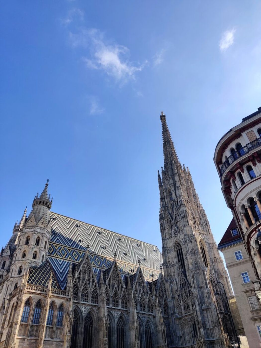 Grand remplacement à Vienne