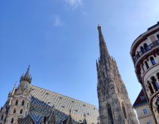 Grand remplacement à Vienne