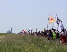 Les divins paradoxes des pèlerinages de ce WE