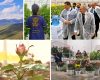 Armand Pinarbasi, le petit prince de la Rose d’Arménie