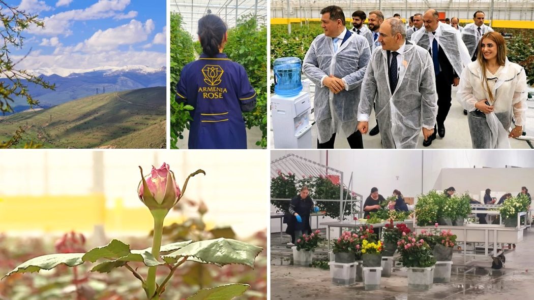 Armand Pinarbasi, le petit prince de la Rose d’Arménie