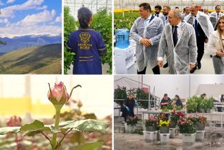 Armand Pinarbasi, le petit prince de la Rose d’Arménie