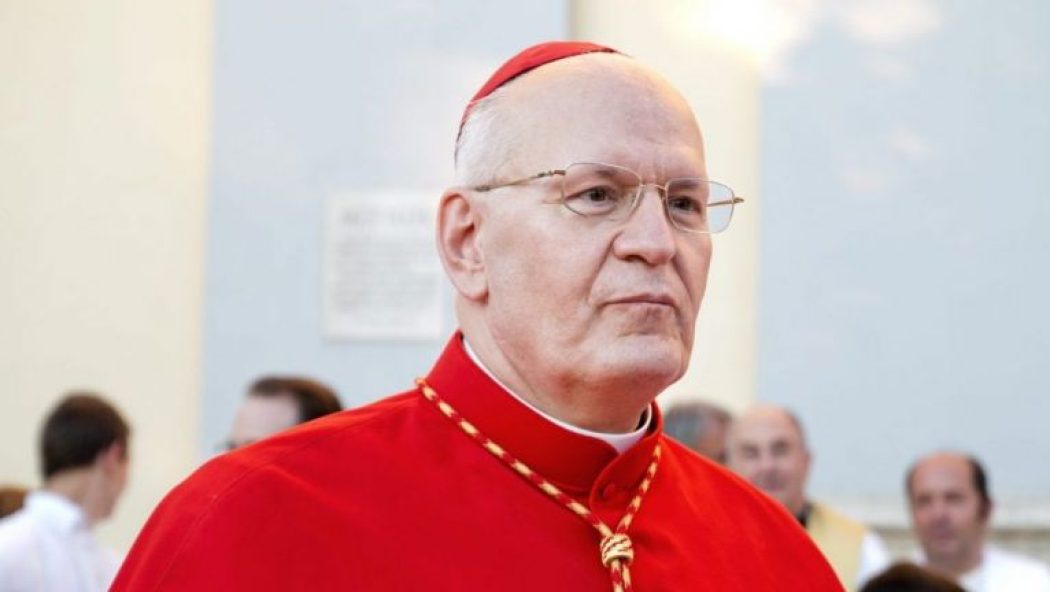 Le cardinal Erdö aurait subi un accident vasculaire