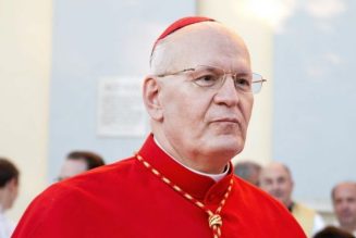 Le cardinal Erdö aurait subi un accident vasculaire