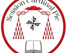 Y a-t-il une économie chrétienne ? 3e Session Cardinal Pie