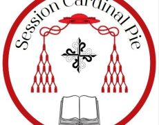 Y a-t-il une économie chrétienne ? 3e Session Cardinal Pie