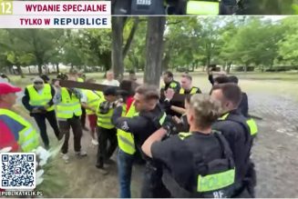 Allemagne : passé à tabac par la police pour avoir tenté d’organiser une marche avec une croix