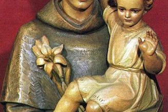 Saint Antoine de Padoue, le saint de «tout le monde»