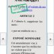 L’impossible parodie du soin : quand l’Assemblée exclut les médecins du geste létal