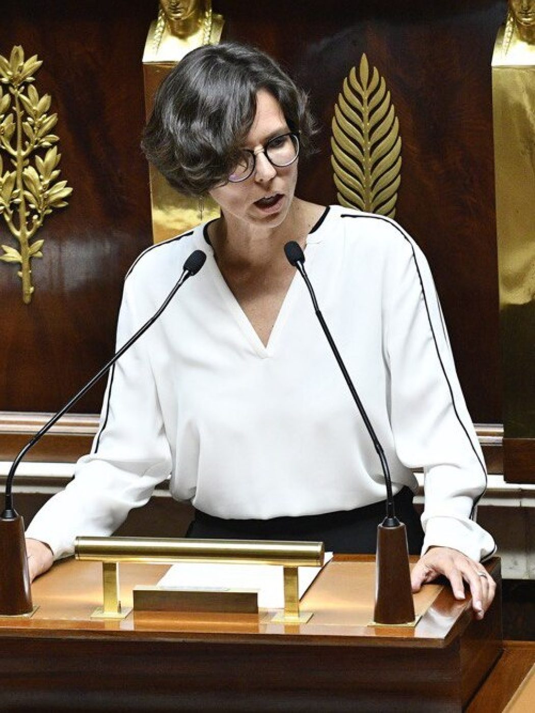 Mort naturelle : le ministre Camille Galliard-Minier en désaccord avec le député Camille Galliard-Minier