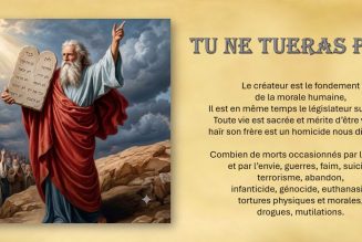 Tu ne tueras pas