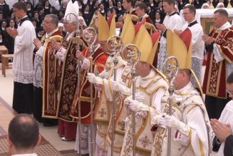 “Je serai fidèle et obéissant… à notre Saint-Père le pape N., et à ses successeurs”