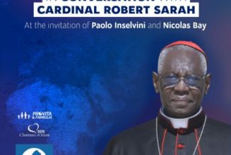 Le cardinal Sarah au Parlement européen