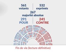 291 députés votent pour l’assassinat des indésirables