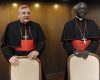Les cardinaux Robert Sarah et Raymond Burke appellent le pape Léon XIV à intervenir
