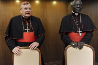 Les cardinaux Robert Sarah et Raymond Burke appellent le pape Léon XIV à intervenir