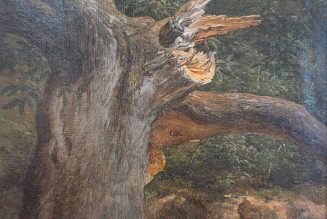 L’Arbre foudroyé – Une méditation sur la présence, la blessure et la fidélité silencieuse