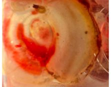 Miracle eucharistique au Guatemala ?