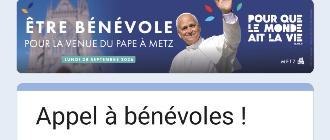 Même si vous pensez être un animal ou un fer à repasser vous pouvez être bénévole pour la venue du pape à Metz